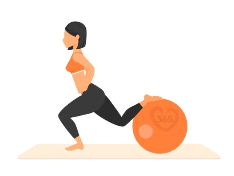 Stability Ball Moves for Beginners to Burn Belly Fat at Home